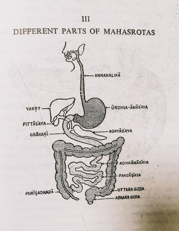 Different parts of mahasrotas.jpg