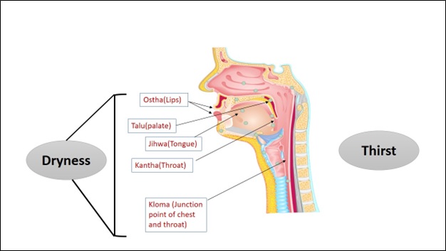 Figure 02- Udakavaha srotodushti lakshana..jpg