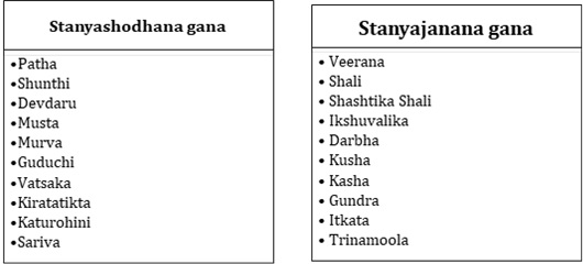 Stanyashodhana and stanyajanana gana.jpg