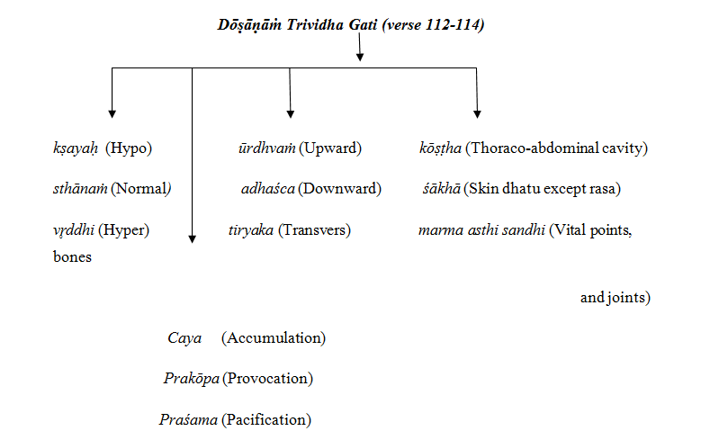 Dōṣāṇāṁ.png