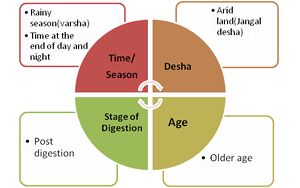 Vata factors.jpg