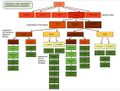 Thumbnail for version as of 06:55, 25 January 2022