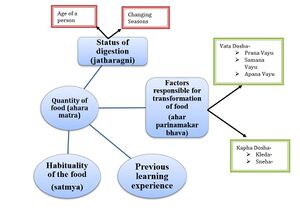 Fig 2 Intrinsic factors.jpg