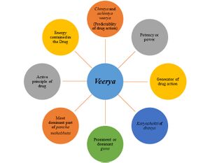 Veerya.jpg