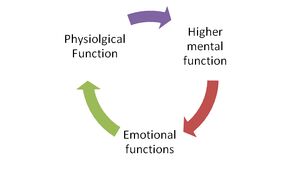Fig3.jpg