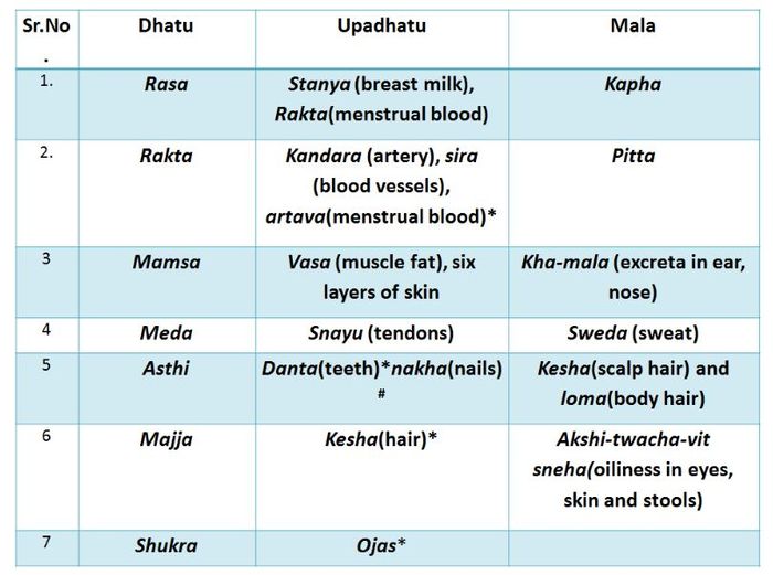 image 1:Guna and Karma of Dhatu
