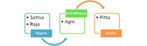 Figure 01: Relation between triguna, mahabhauta and pitta dosha.