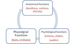 Kapha Fig3.jpg