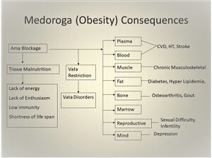 Medoroga.JPG