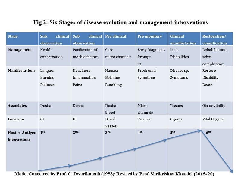 File:Stages of disease progression.jpg