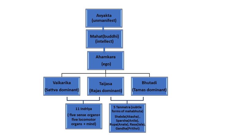File:Evolution process.jpg