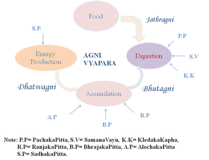 Chart 2.png